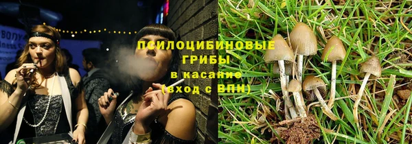 гашик Арсеньев