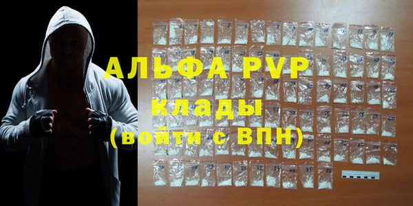 гашик Арсеньев