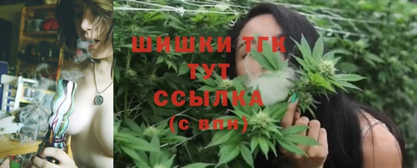 a pvp Аркадак