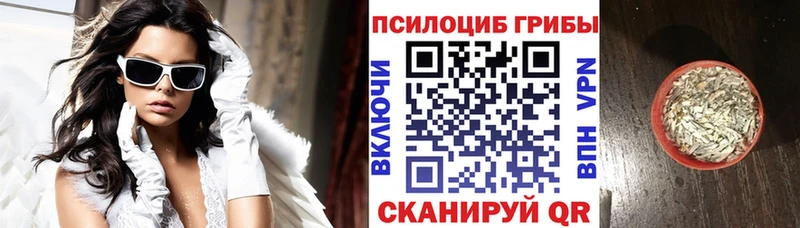 Псилоцибиновые грибы прущие грибы  Оханск 